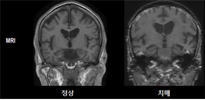 이미지03 이미지03